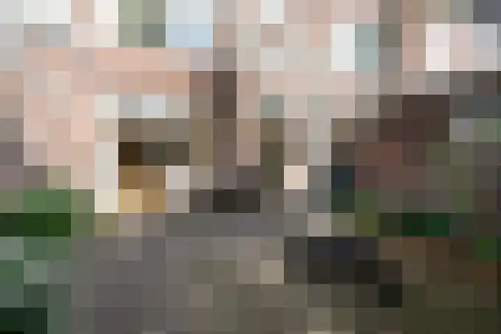 Willem de Zwijgerlaan 32 Den Haag thumbnail 26