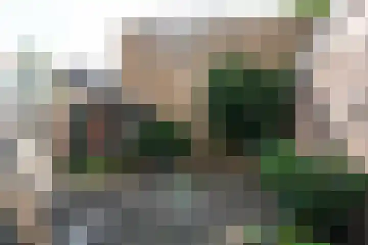 Willem de Zwijgerlaan 32 Den Haag thumbnail 27