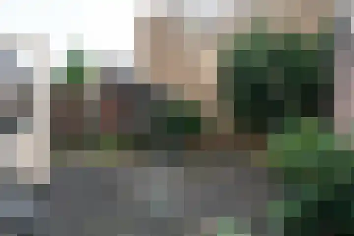 Willem de Zwijgerlaan 32 Den Haag thumbnail 28