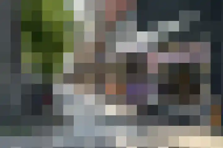Willem de Zwijgerlaan 32 Den Haag thumbnail 31