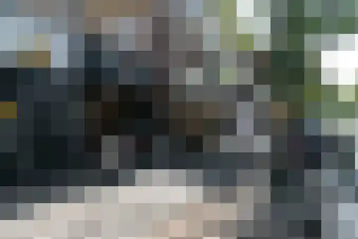 Willem de Zwijgerlaan 32 Den Haag thumbnail 32