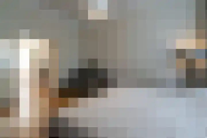Willem de Zwijgerlaan 32 Den Haag thumbnail 9