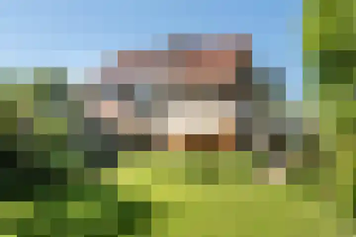 Willem de Zwijgerlaan 33 Santpoort-Zuid thumbnail 13