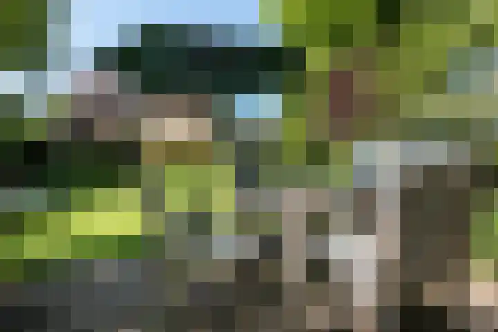 Willem de Zwijgerlaan 33 Santpoort-Zuid thumbnail 14
