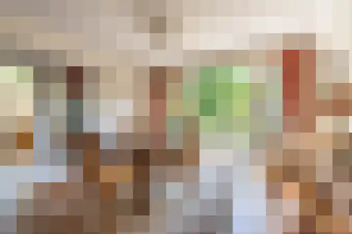 Willem de Zwijgerlaan 33 Santpoort-Zuid thumbnail 22