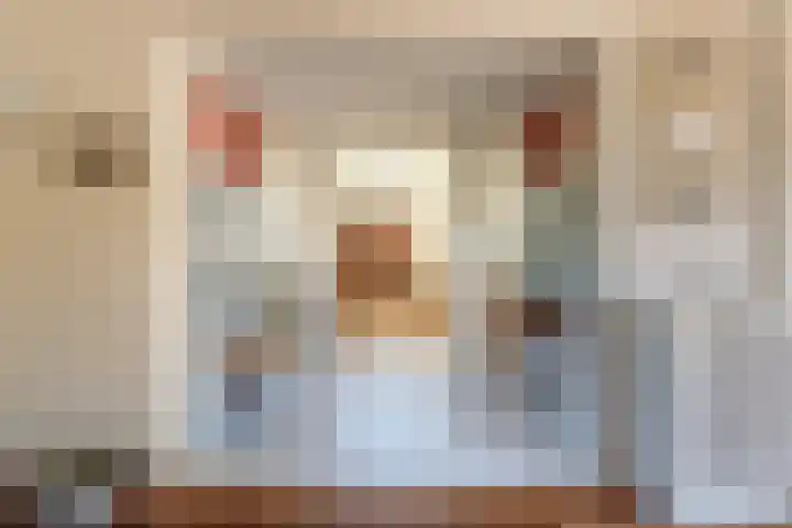 Willem de Zwijgerlaan 33 Santpoort-Zuid thumbnail 27