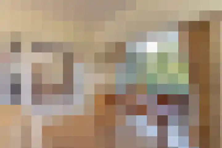 Willem de Zwijgerlaan 33 Santpoort-Zuid thumbnail 32
