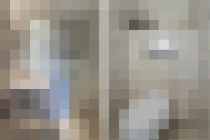 Willem de Zwijgerlaan 33 Santpoort-Zuid thumbnail 33