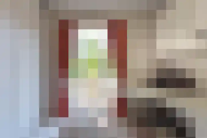 Willem de Zwijgerlaan 33 Santpoort-Zuid thumbnail 39