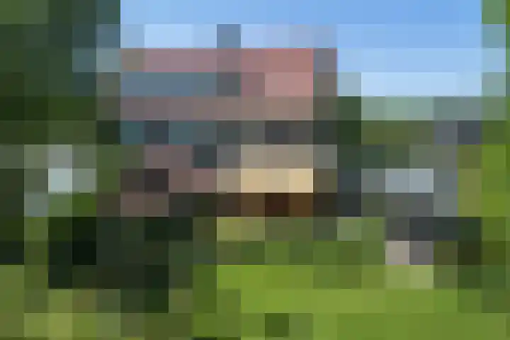 Willem de Zwijgerlaan 33 Santpoort-Zuid thumbnail 5