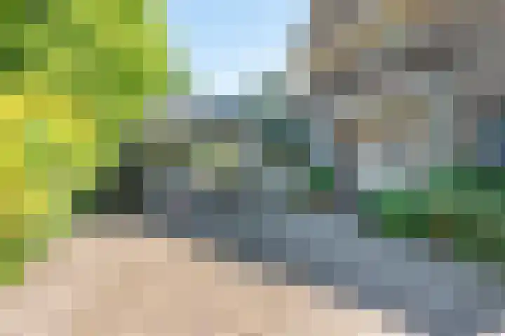 Willem de Zwijgerlaan 33 Santpoort-Zuid thumbnail 54