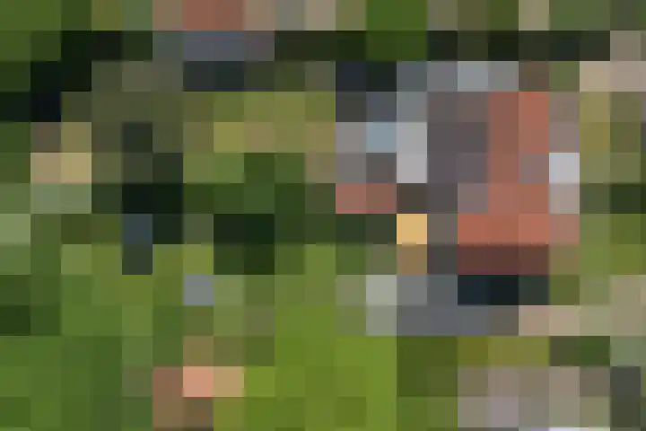 Willem de Zwijgerlaan 33 Santpoort-Zuid thumbnail 55