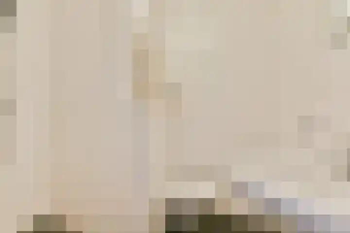 Willem de Zwijgerlaan 334 B 11 Amsterdam thumbnail 14