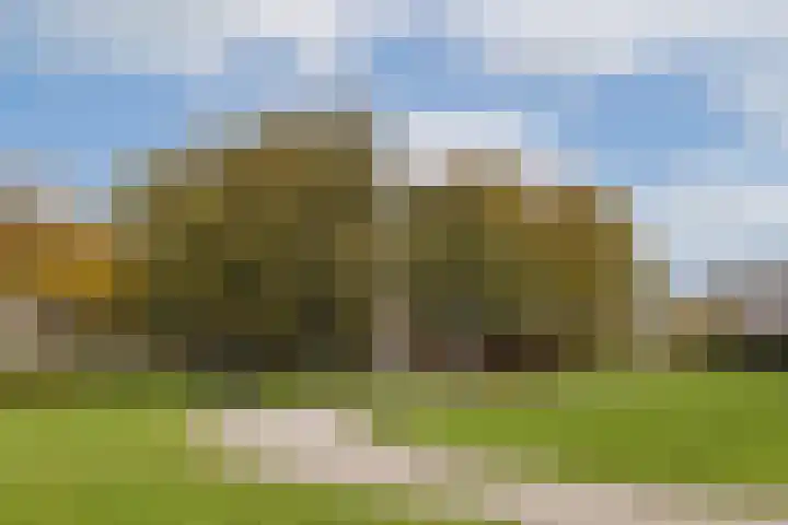 Willem de Zwijgerlaan 334 B 11 Amsterdam thumbnail 23