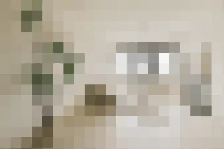 Willem de Zwijgerlaan 334 B 11 Amsterdam thumbnail 5