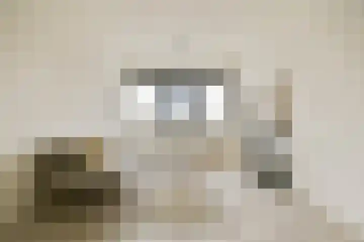 Willem de Zwijgerlaan 334 B 11 Amsterdam thumbnail 6