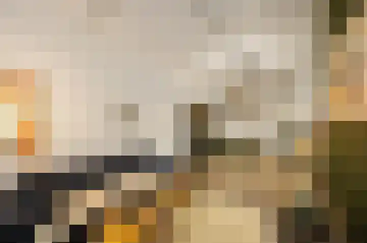 Willem de Zwijgerlaan 334 B 7 Amsterdam thumbnail 10