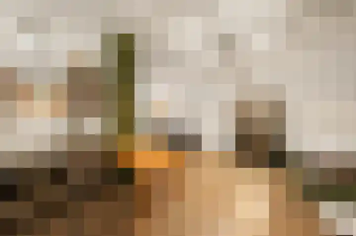 Willem de Zwijgerlaan 334 B 7 Amsterdam thumbnail 11