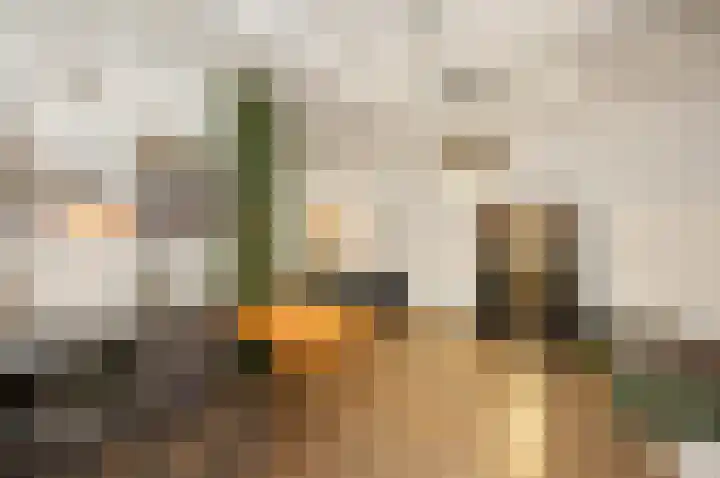 Willem de Zwijgerlaan 334 B 7 Amsterdam thumbnail 12