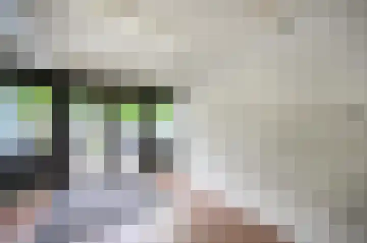 Willem de Zwijgerlaan 334 B 7 Amsterdam thumbnail 26