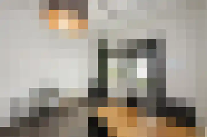 Willem de Zwijgerlaan 334 B 7 Amsterdam thumbnail 4