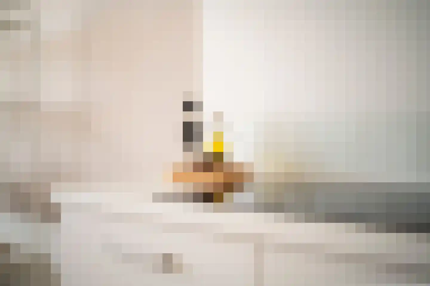 Willem de Zwijgerlaan 334 C 11 Amsterdam thumbnail 22