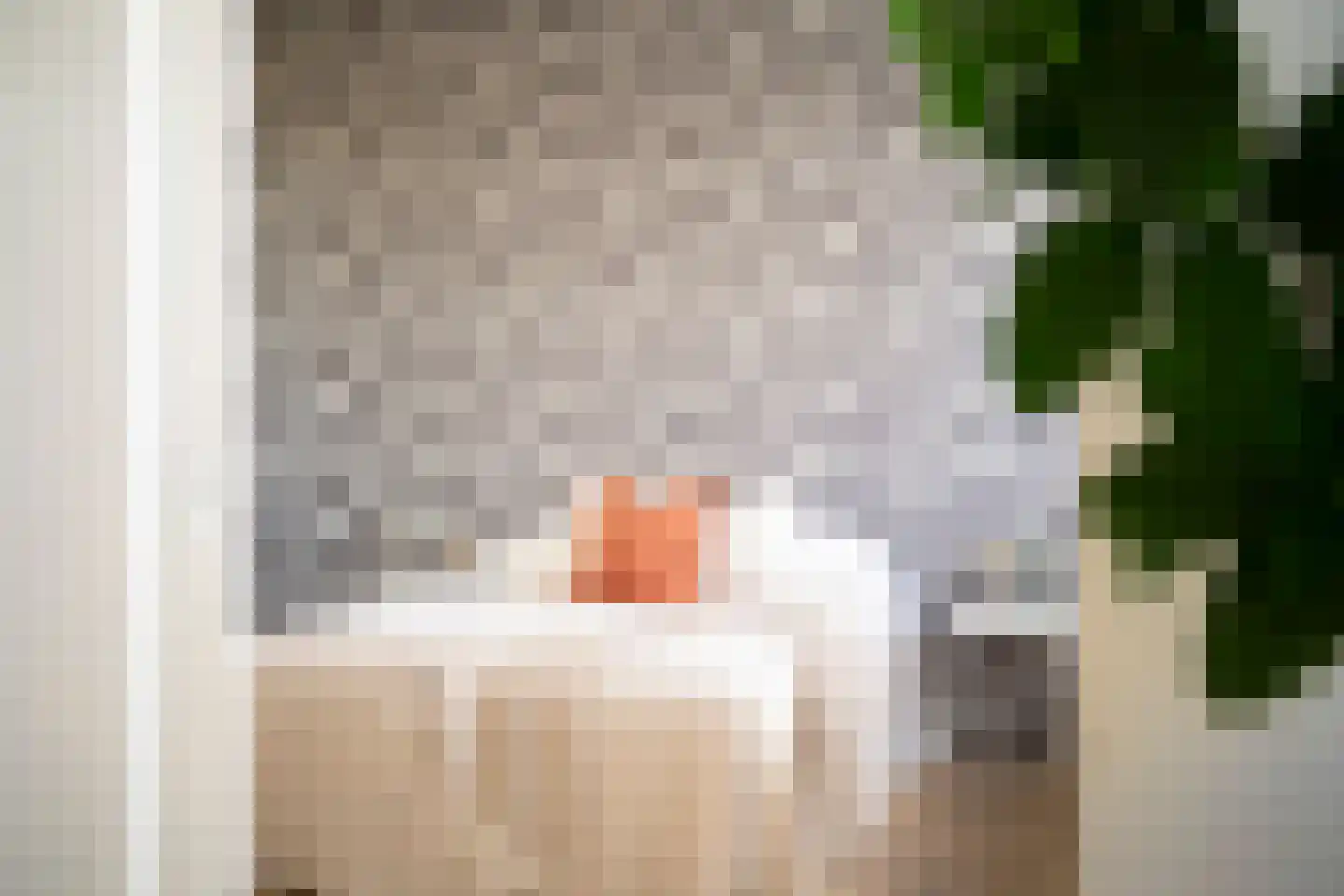 Willem de Zwijgerlaan 334 C 11 Amsterdam thumbnail 25