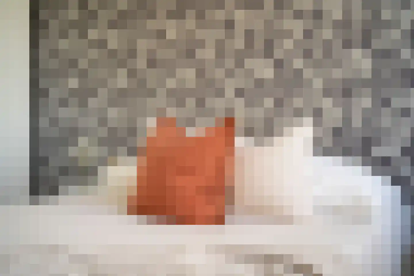 Willem de Zwijgerlaan 334 C 11 Amsterdam thumbnail 27
