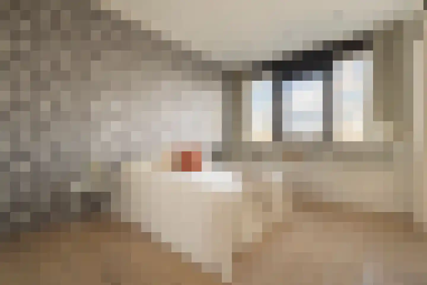 Willem de Zwijgerlaan 334 C 11 Amsterdam thumbnail 29