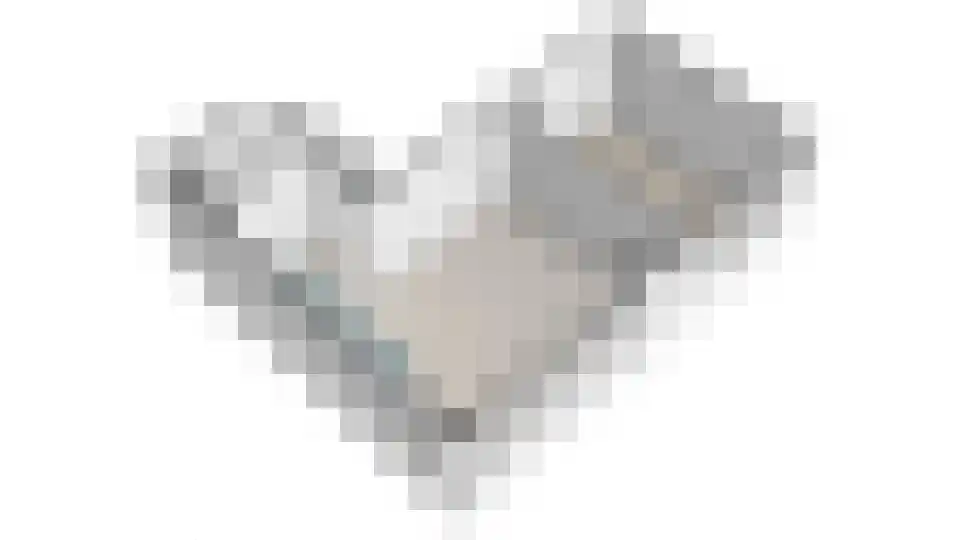 Willem de Zwijgerlaan 334 C 11 Amsterdam thumbnail 47