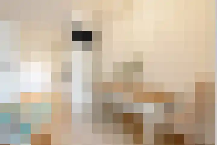 Willem de Zwijgerlaan 334 C 13 Amsterdam thumbnail 12