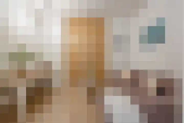 Willem de Zwijgerlaan 334 C 13 Amsterdam thumbnail 14