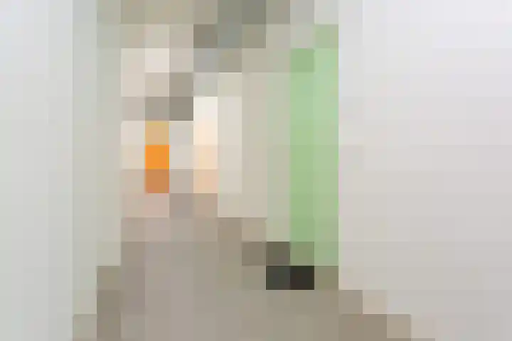 Willem de Zwijgerlaan 334 C 13 Amsterdam thumbnail 19