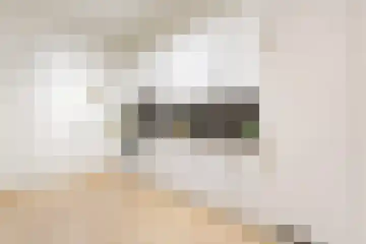 Willem de Zwijgerlaan 334 C 13 Amsterdam thumbnail 7
