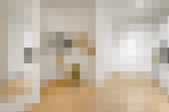 Willem de Zwijgerlaan 334 C 13 Amsterdam thumbnail 9