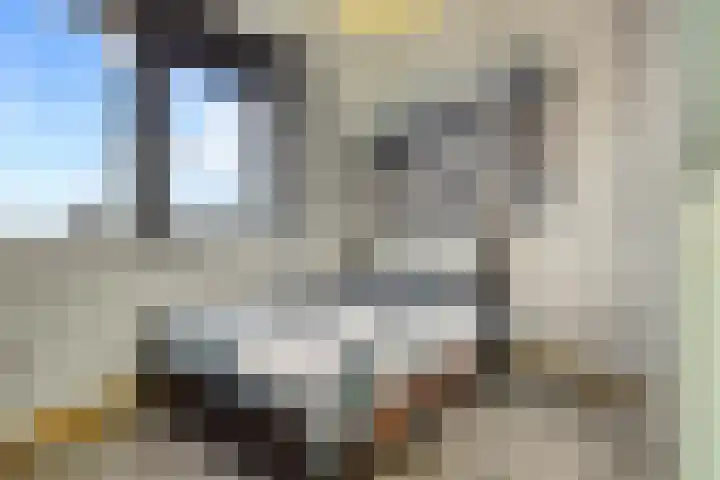 Willem de Zwijgerlaan 334 C 18 Amsterdam thumbnail 5