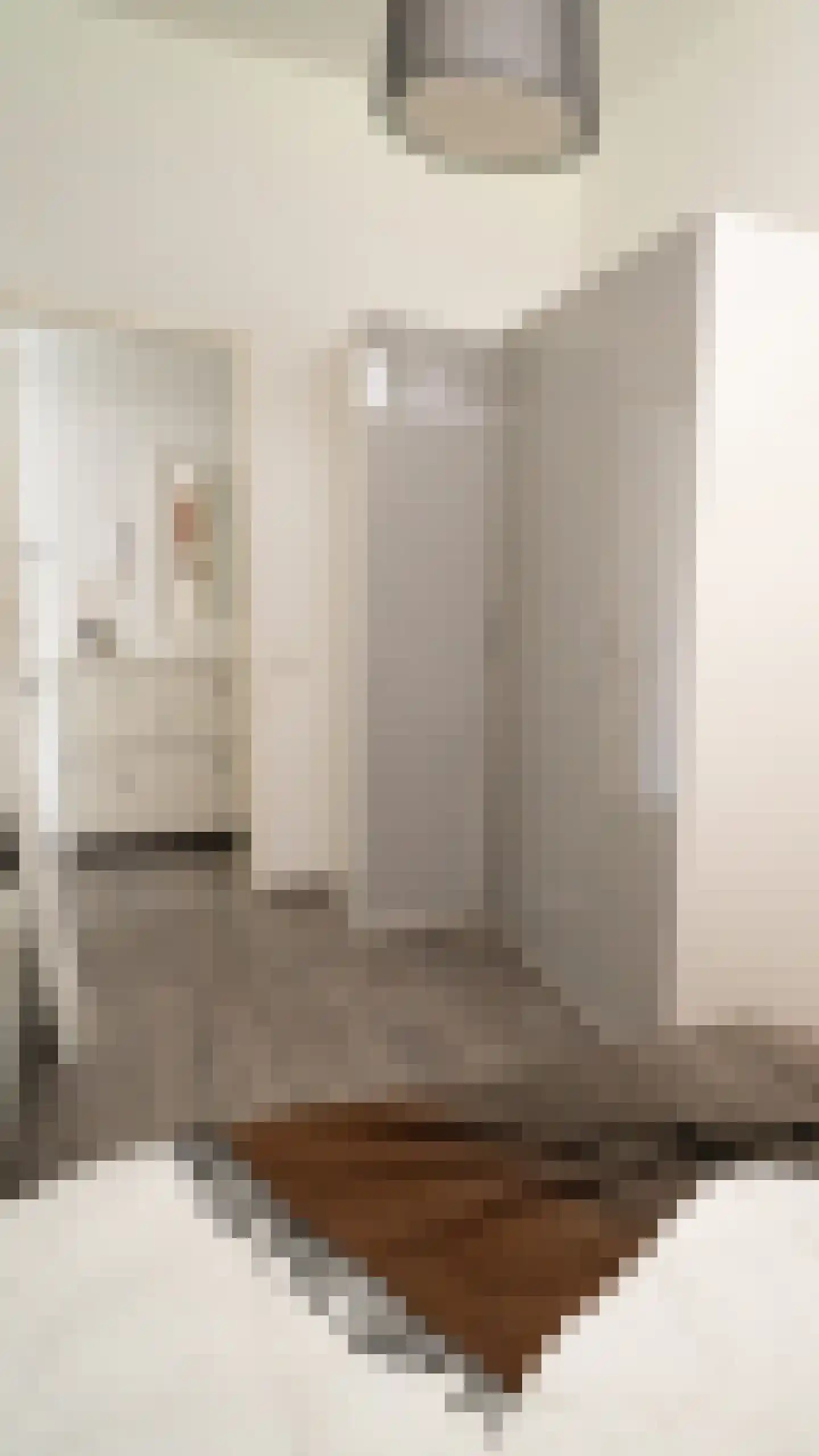 Willem de Zwijgerlaan 334 C 29 Amsterdam thumbnail 17