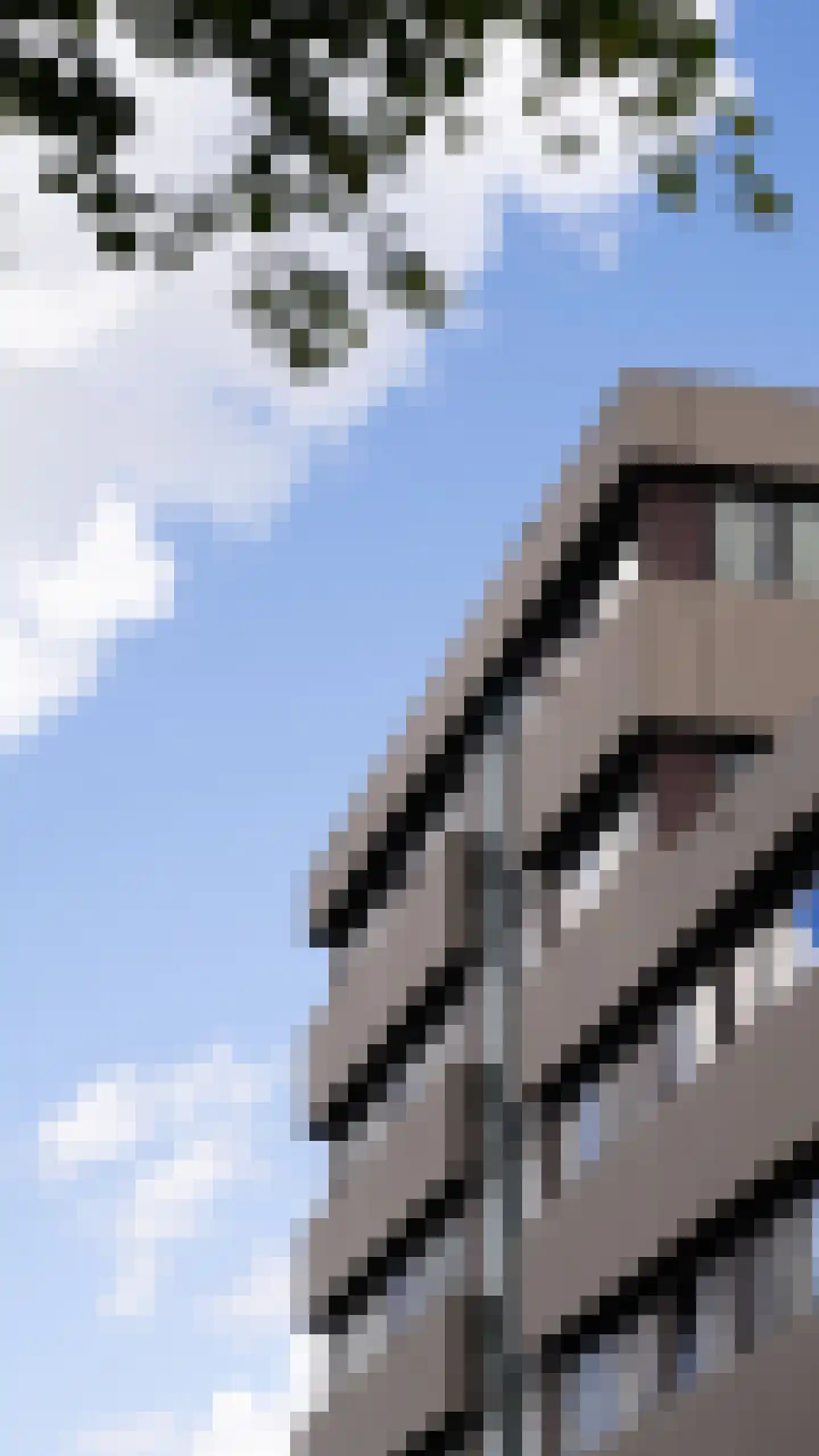 Willem de Zwijgerlaan 334 C 29 Amsterdam thumbnail 29