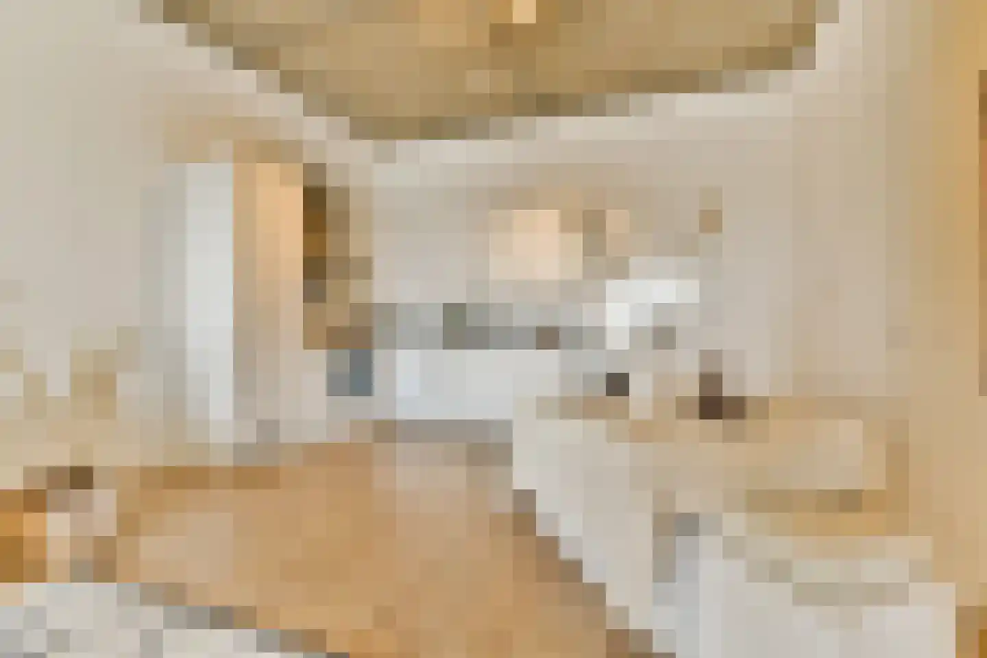 Willem de Zwijgerlaan 334 D 12 Amsterdam thumbnail 11