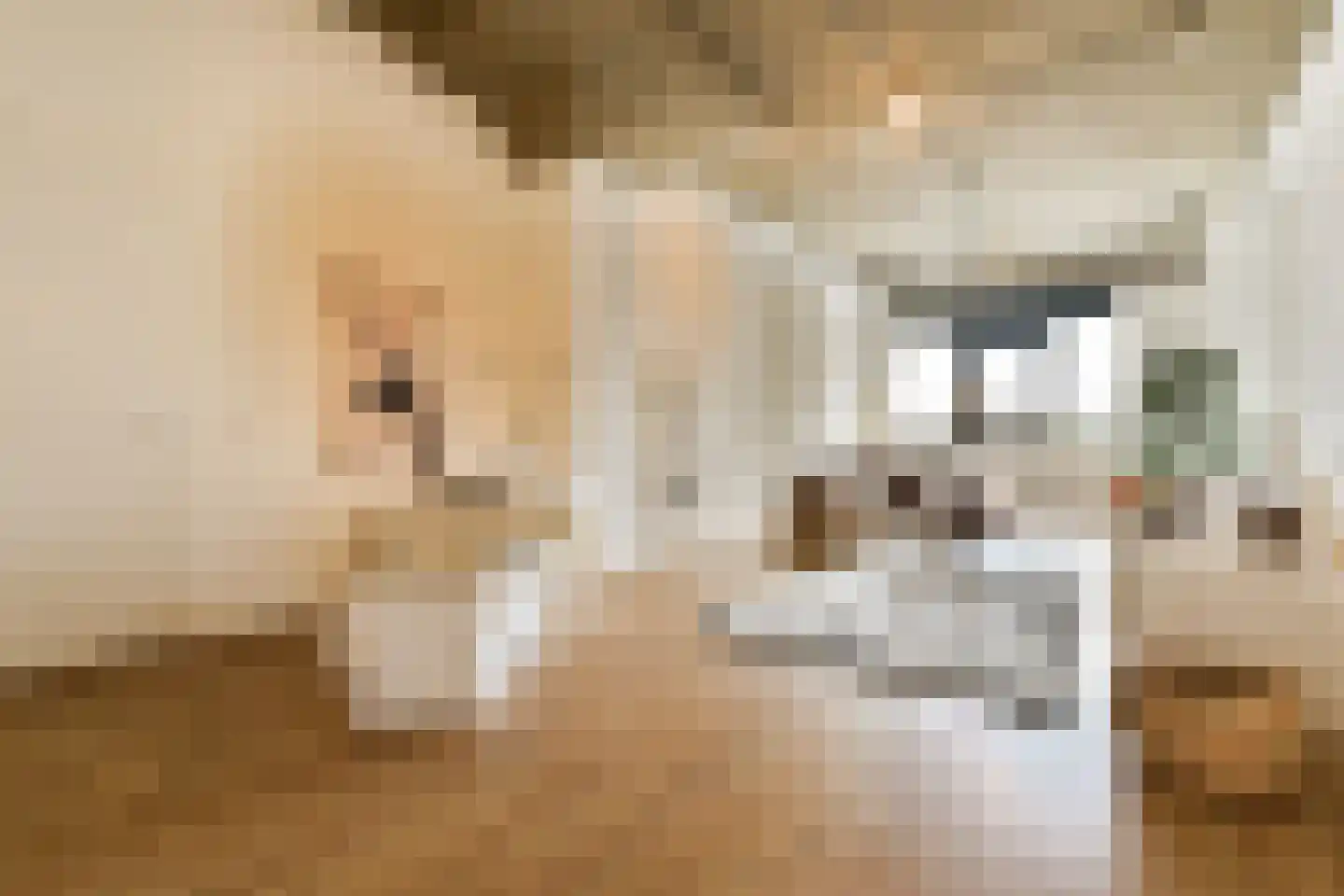 Willem de Zwijgerlaan 334 D 12 Amsterdam thumbnail 4