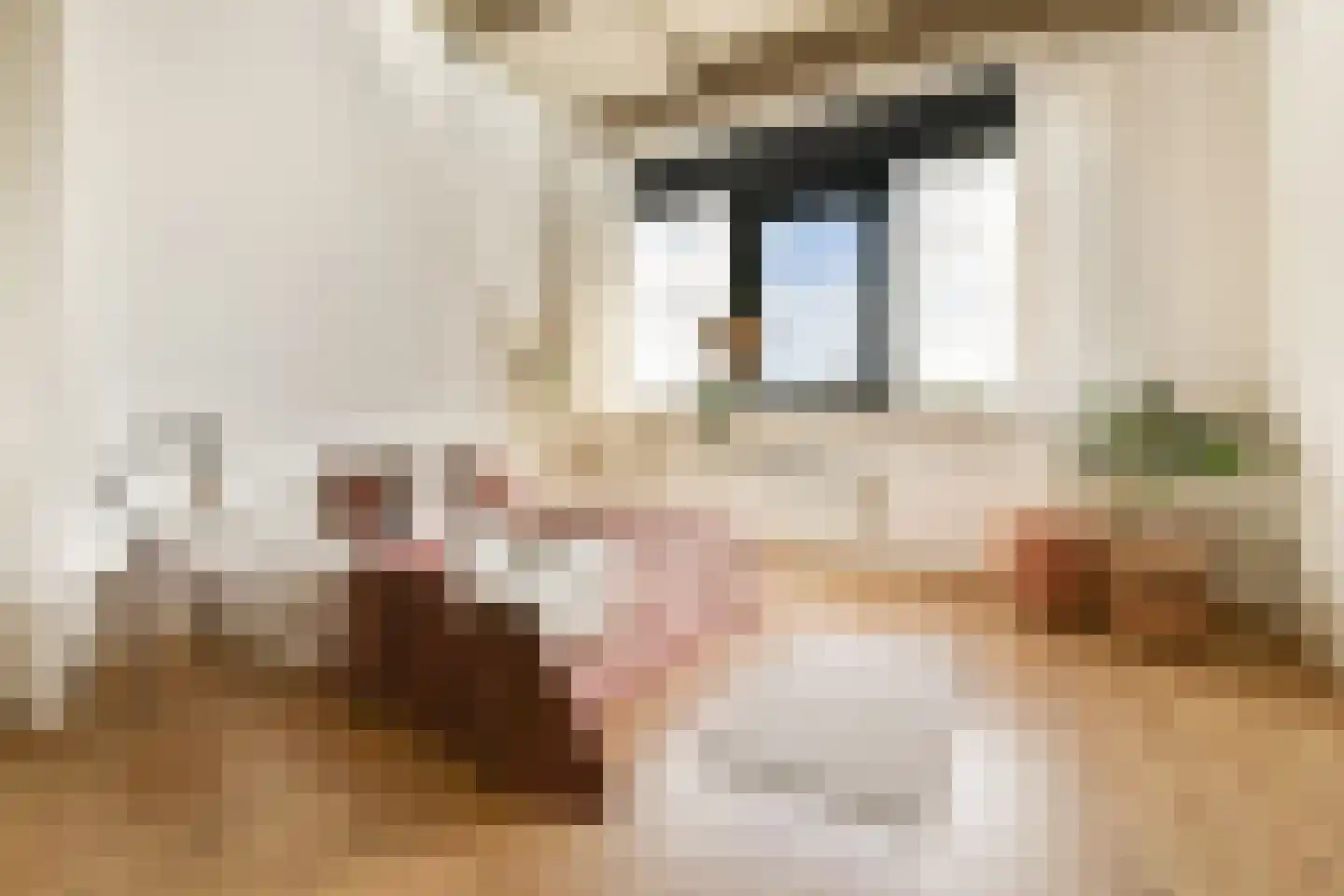 Willem de Zwijgerlaan 334 D 12 Amsterdam thumbnail 6