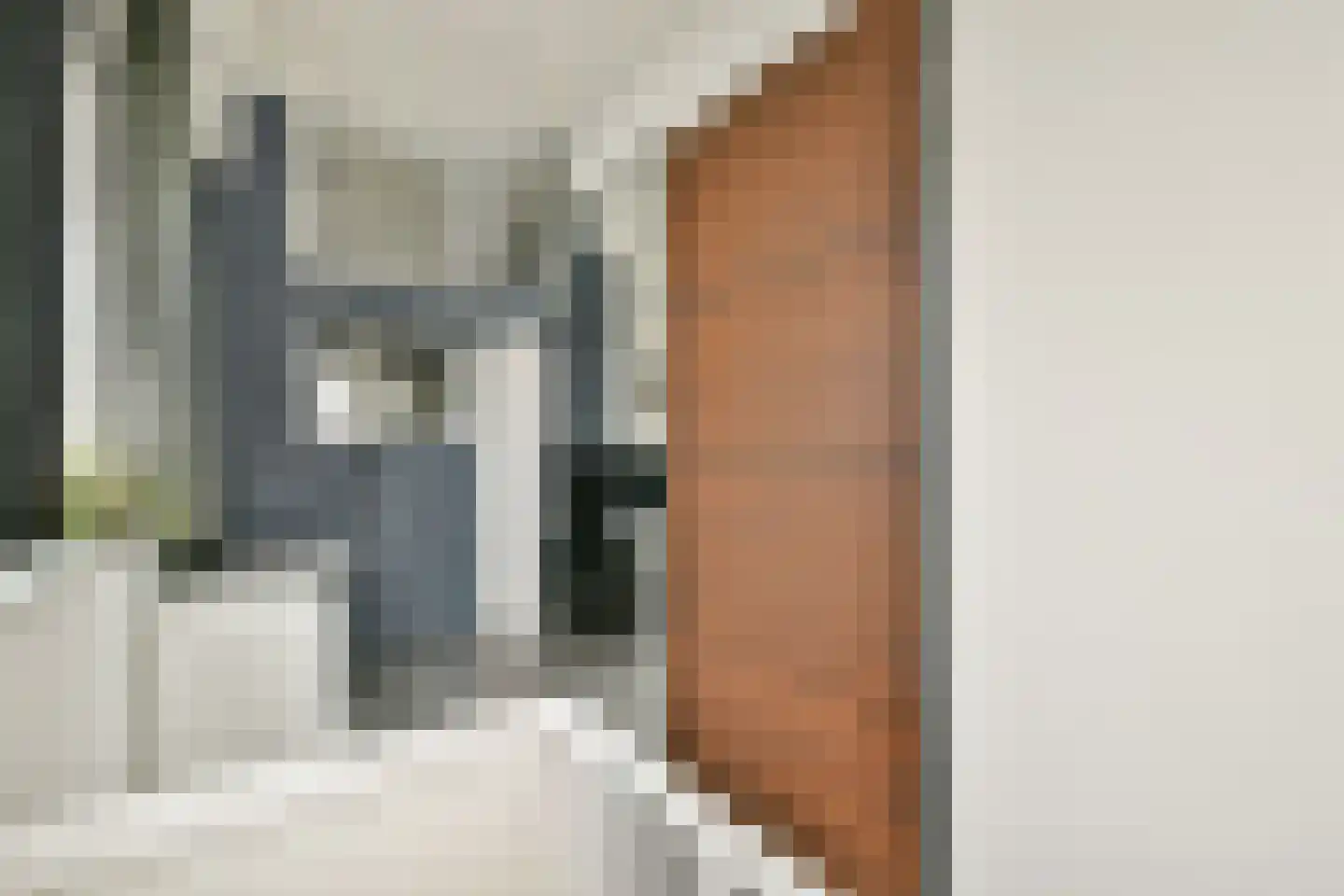 Willem de Zwijgerlaan 334 D 14 Amsterdam thumbnail 10
