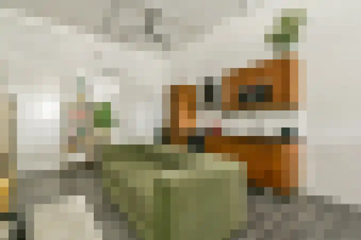 Willem de Zwijgerlaan 334 D 14 Amsterdam thumbnail 4