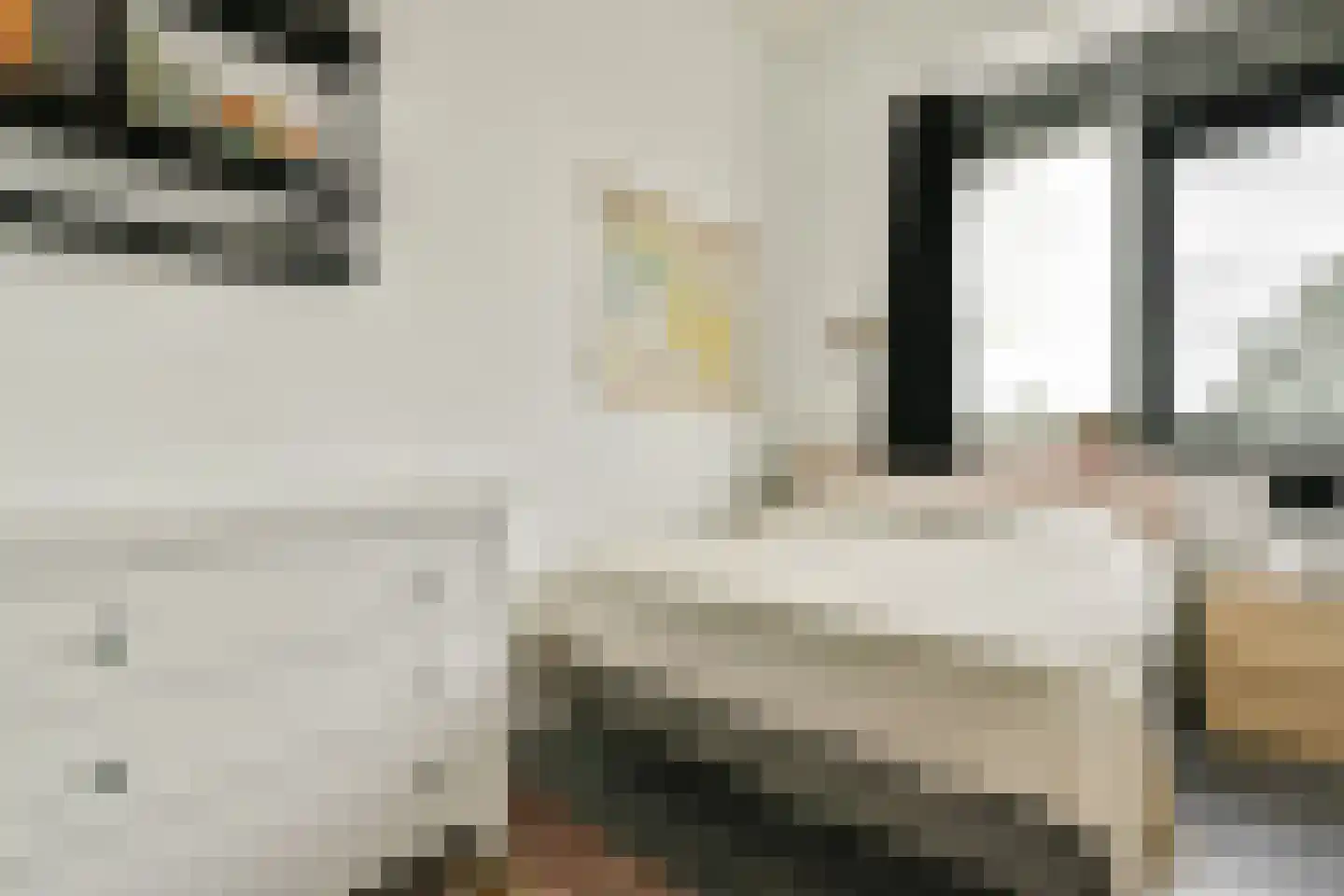 Willem de Zwijgerlaan 334 D 14 Amsterdam thumbnail 5
