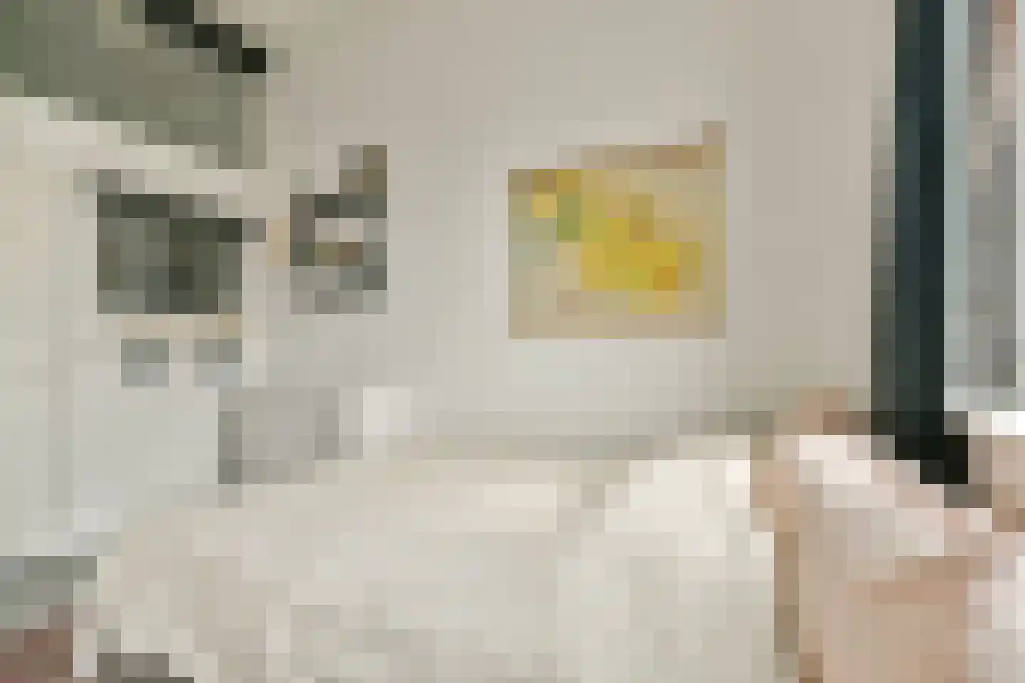 Willem de Zwijgerlaan 334 D 14 Amsterdam thumbnail 6