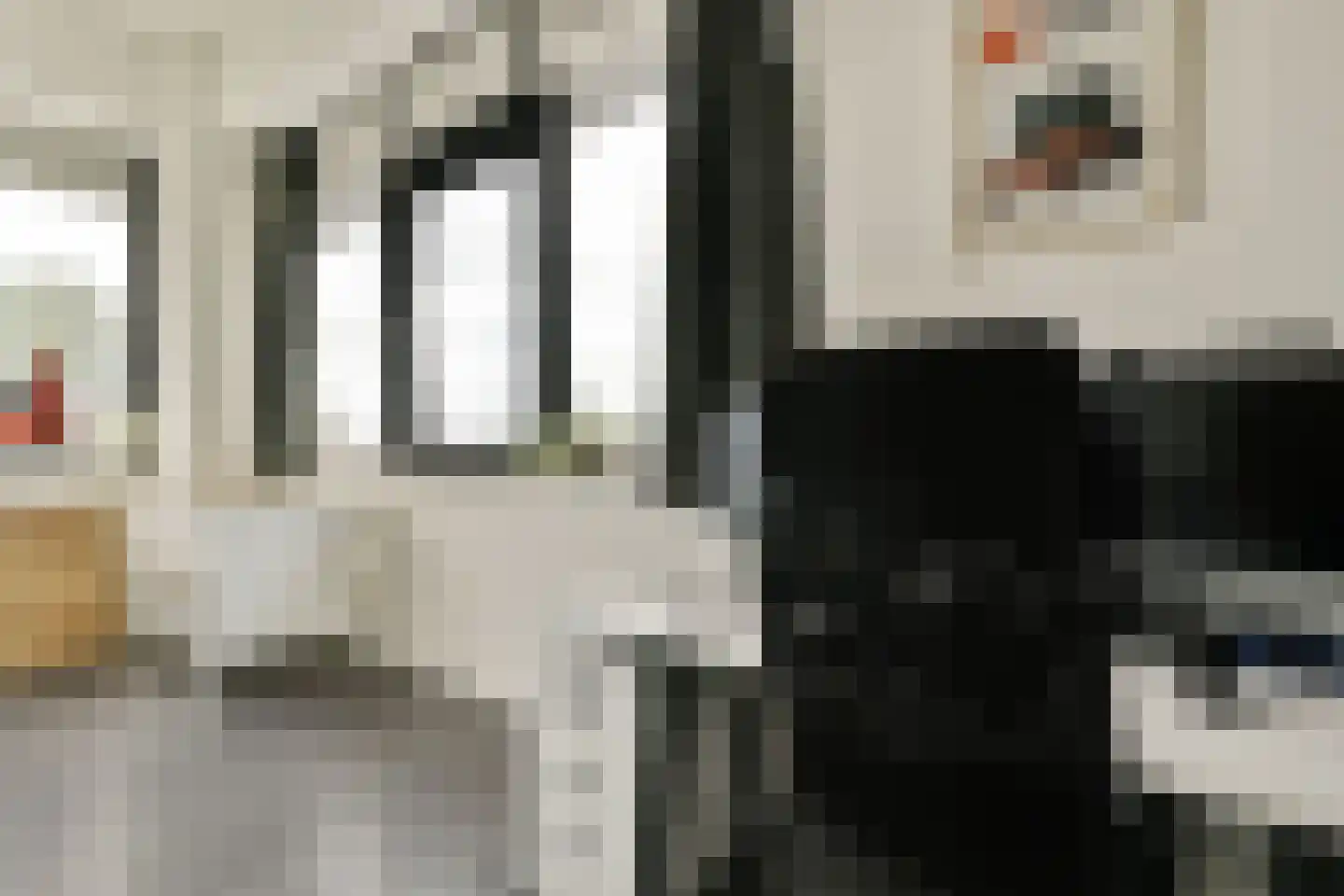 Willem de Zwijgerlaan 334 D 14 Amsterdam thumbnail 9