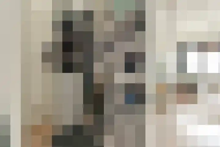 Willem de Zwijgerlaan 334 D 19 Amsterdam thumbnail 11
