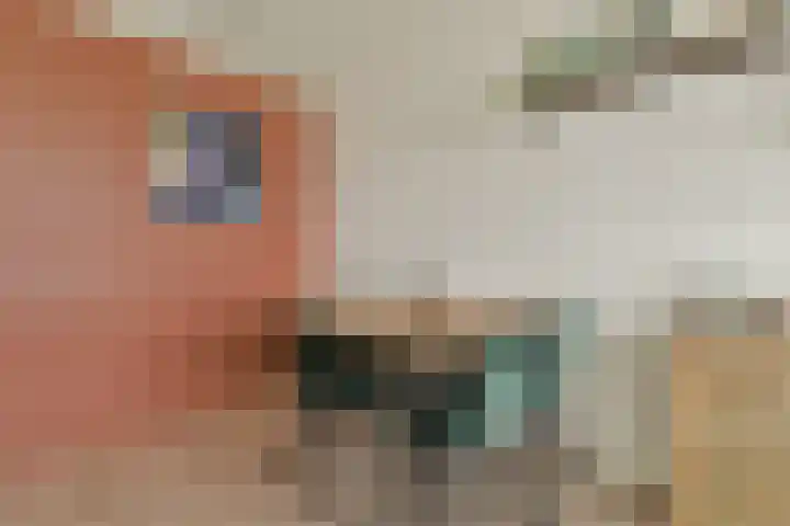 Willem de Zwijgerlaan 334 D 19 Amsterdam thumbnail 5