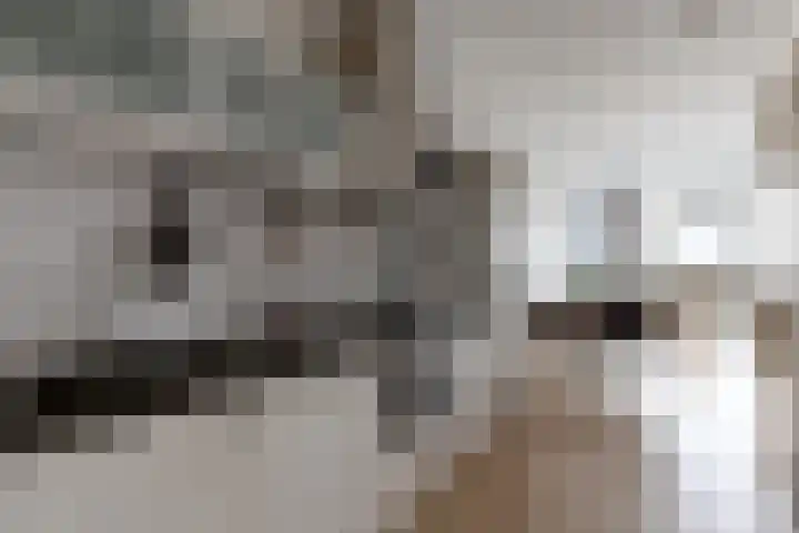 Willem de Zwijgerlaan 334 D 24 Amsterdam thumbnail 4