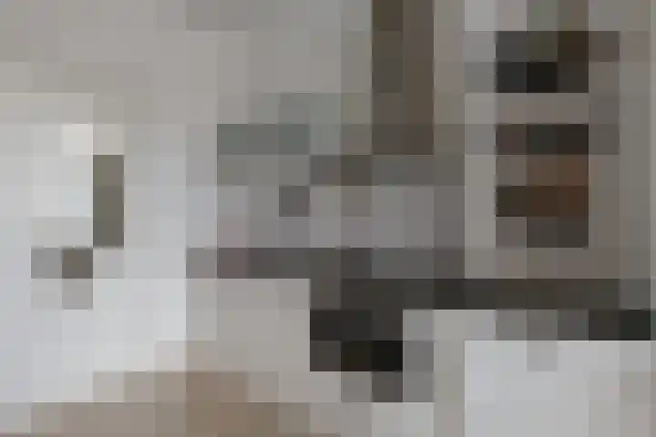 Willem de Zwijgerlaan 334 D 24 Amsterdam thumbnail 6